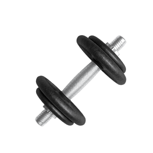 Premium Dumbbells alt