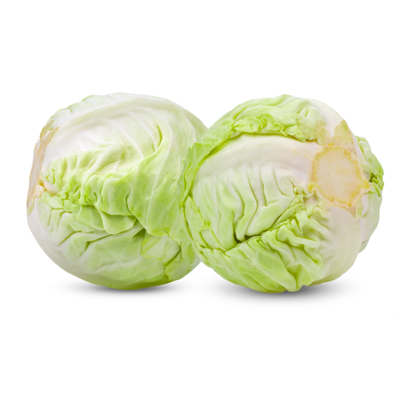 Gourmet Organic Cabbage alt