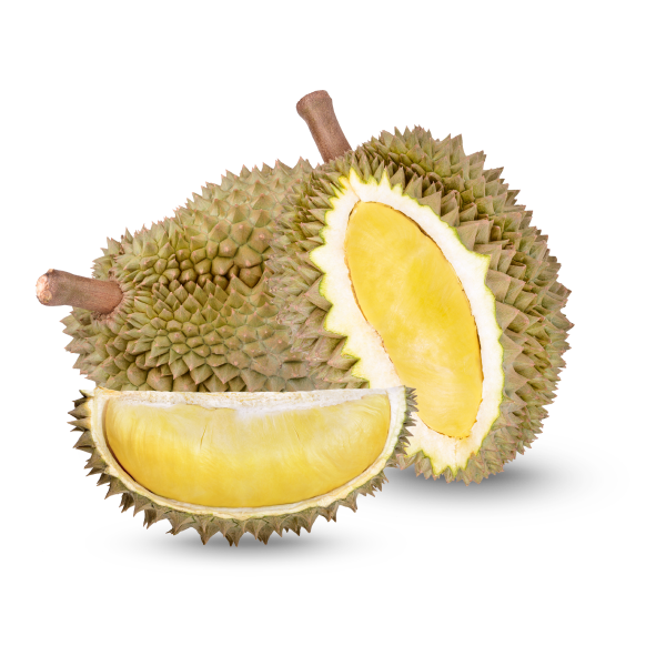 Freshly Picked Durian alt