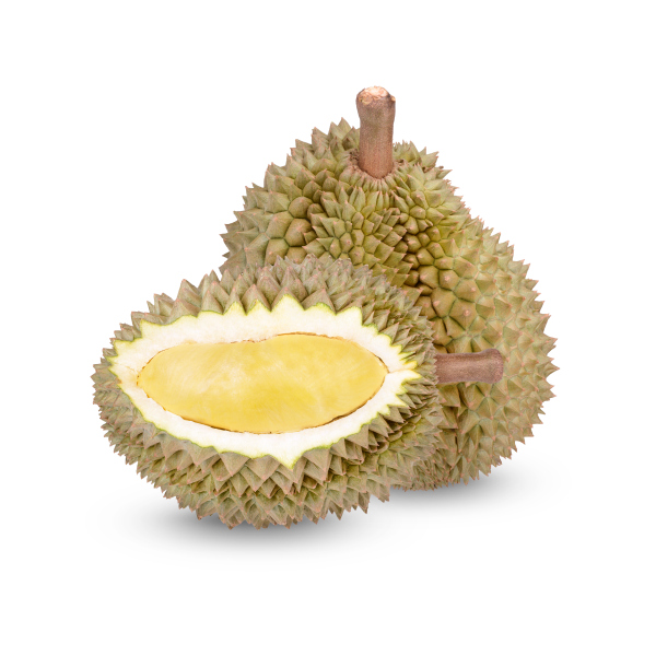 Freshly Picked Durian alt