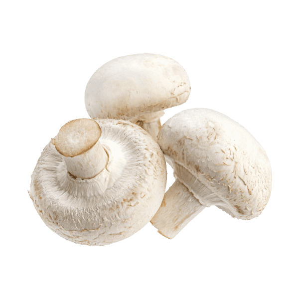 Farm-fresh Mushrooms alt