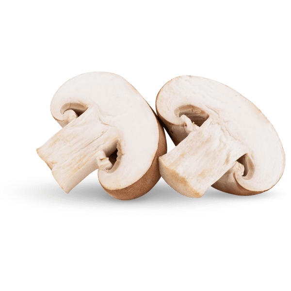 Farm-fresh Mushrooms alt