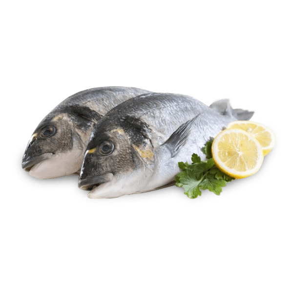 Premium Seafood product image