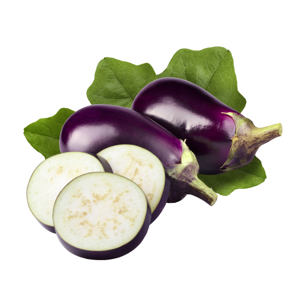 Nutrient-Rich Eggplant alt