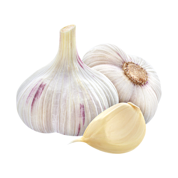 Fresh Organic Garlic alt