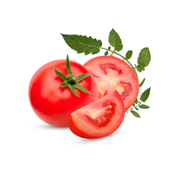 Handpicked Tomatoes alt