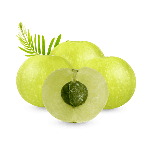 Superior Quality Amla alt