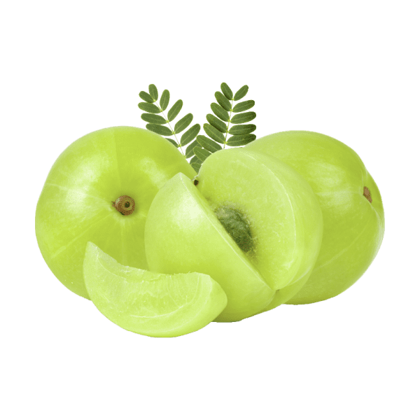 Superior Quality Amla alt