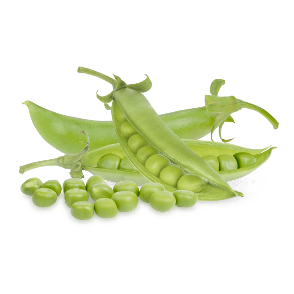 Nourishing Peas alt