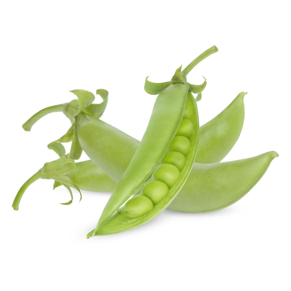 Nourishing Peas alt
