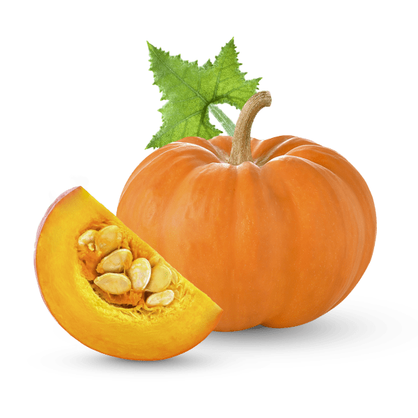 Premium Organic Pumpkin alt