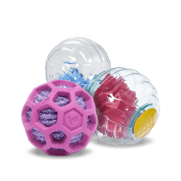 Toy for Dogs alt
