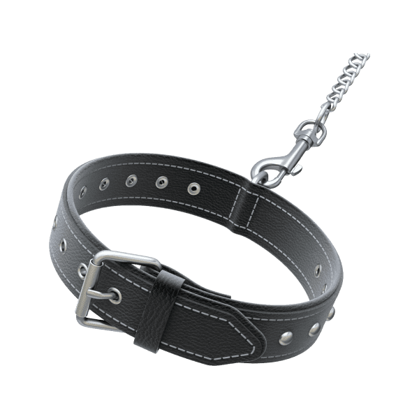 Pet Collar alt