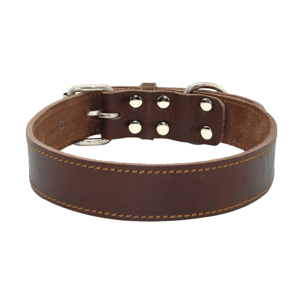 Pet Collar alt